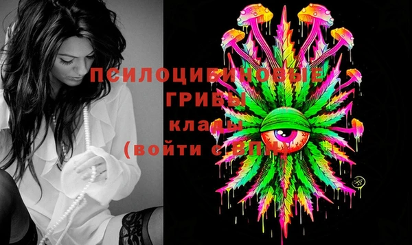 гашик Лиски