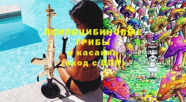 гашик Лиски